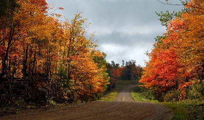 Locksmith dover nj you for